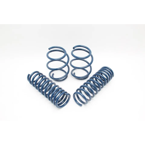 Dinan Performance Spring Set E60 M5